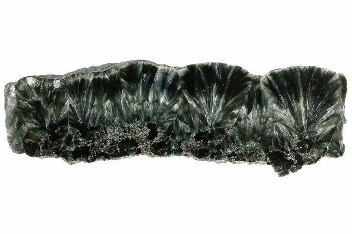 Polished Seraphinite Slab - Siberia #183487